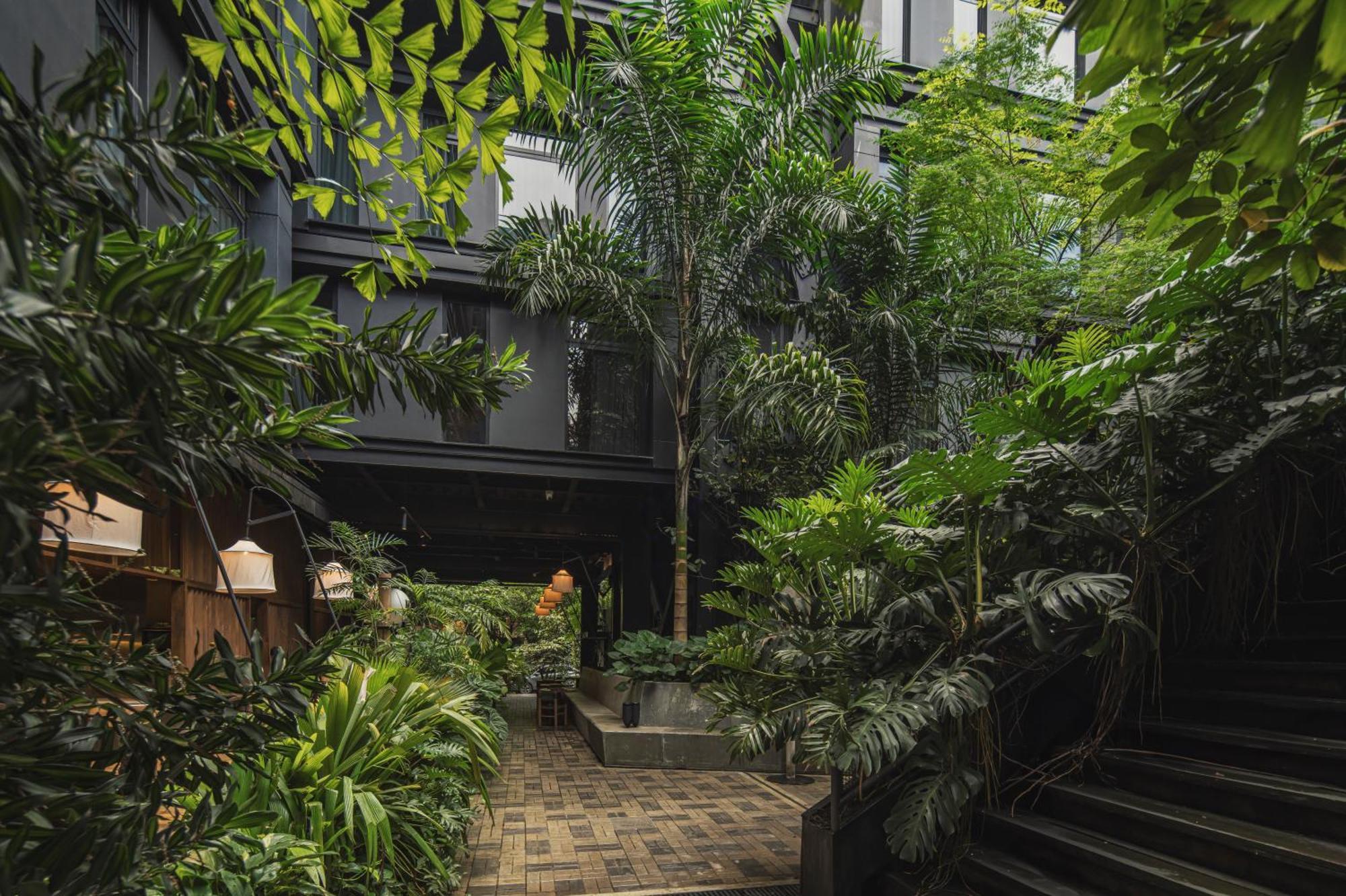 The Click Clack Hotel Medellín Exteriör bild The interior courtyard of the hotel