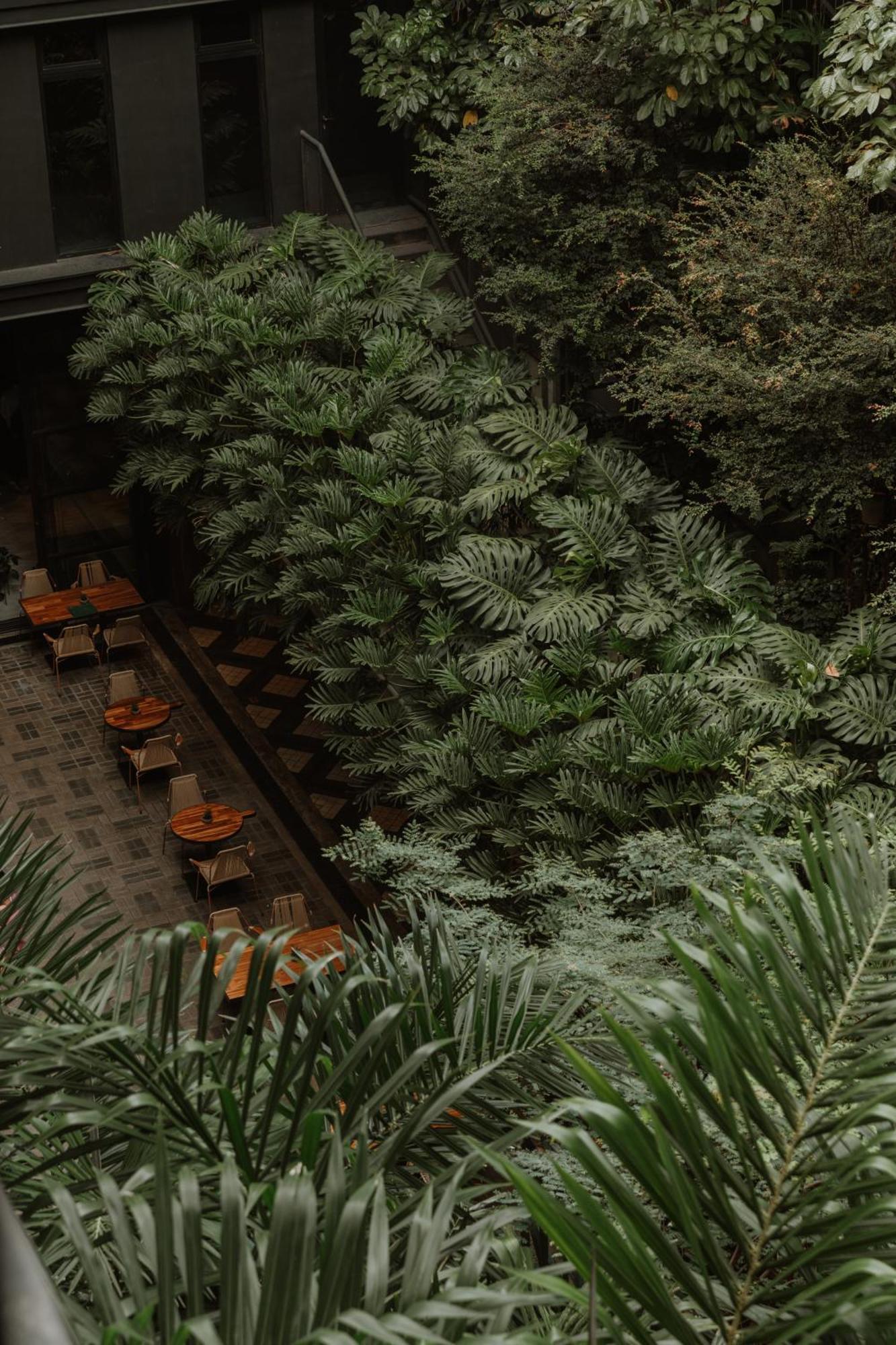 The Click Clack Hotel Medellín Exteriör bild Alpinum